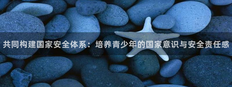 安信卓越12月