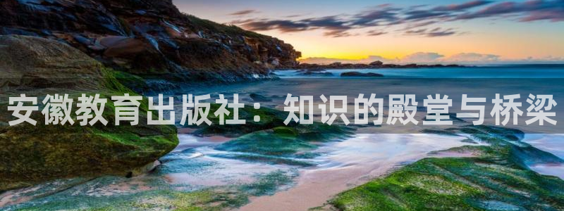 安信12平台