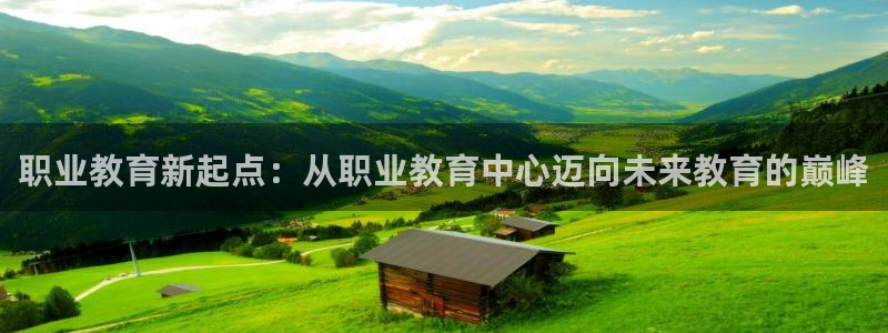 安信12专用挂机