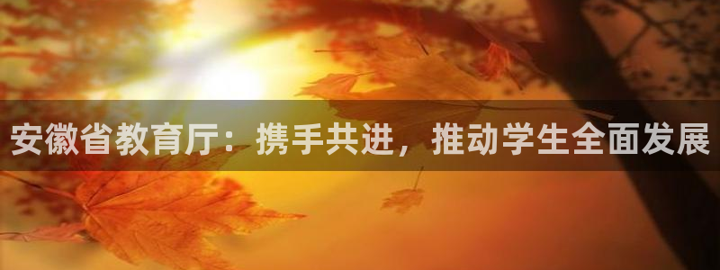 安信4特邀55 12