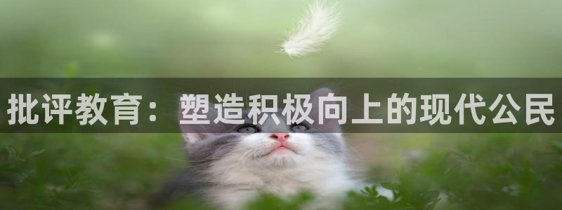 安信12平台开户