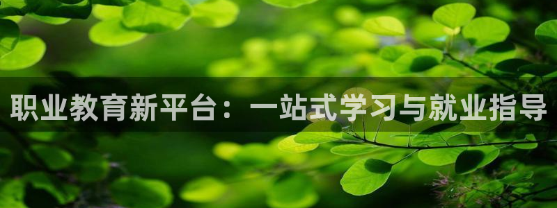 安信12账号