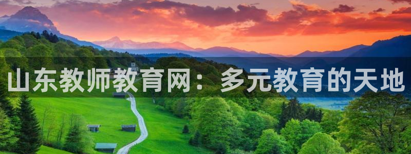 安信12级大众