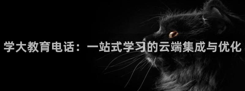 安信12代理