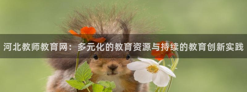 安信12开户