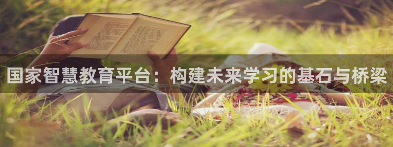安信12官方下载