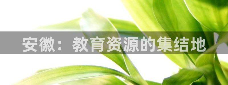 安信12是啥