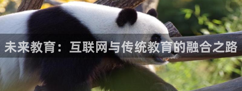 安信12娱乐