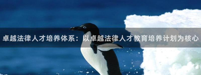 安信12是做什么