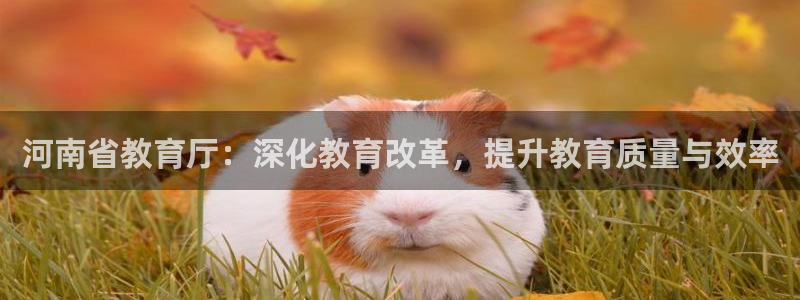 安信12是什么平台