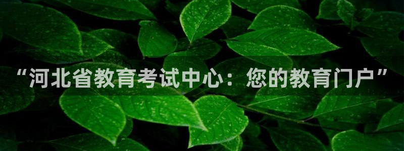 安信安赢12号