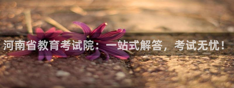 安信12官方网站查询