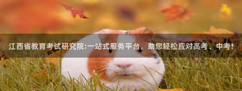 安信12娱乐代理