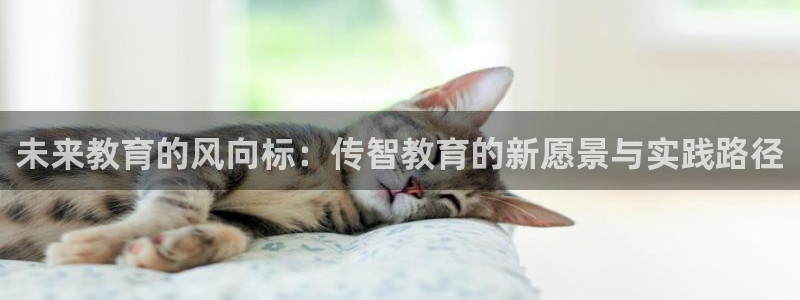 安信12是什么平台