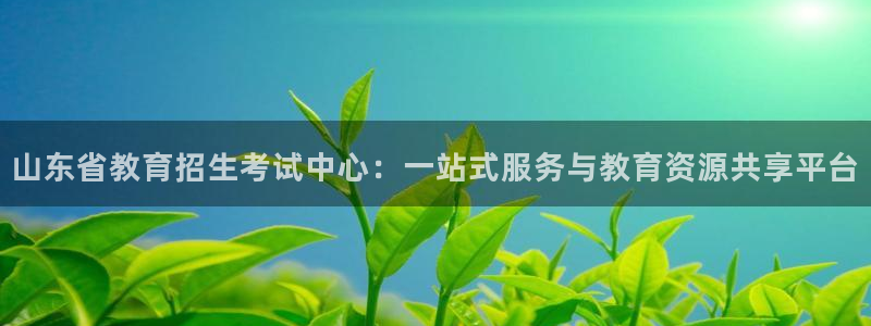安信esp 12k