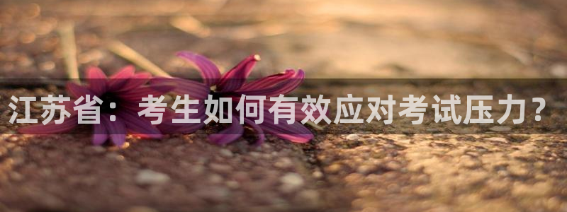 安信12是正轨网站吗