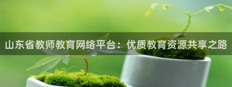 安信12如何开代理