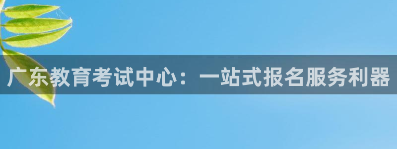 安信12是啥