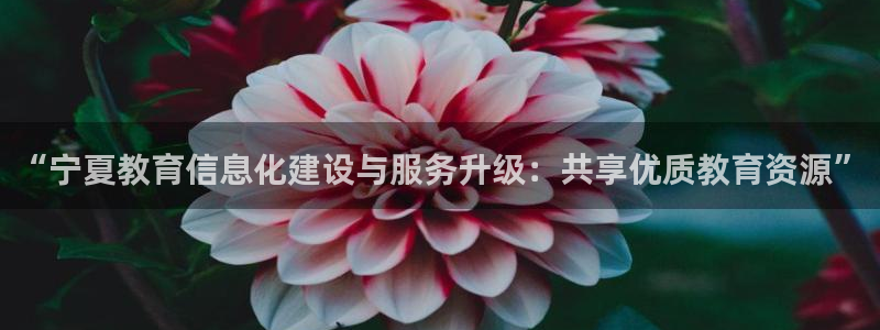 安信12想开户