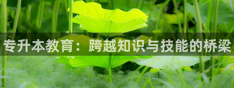 安信可 esp-12