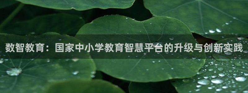安立信T12测评