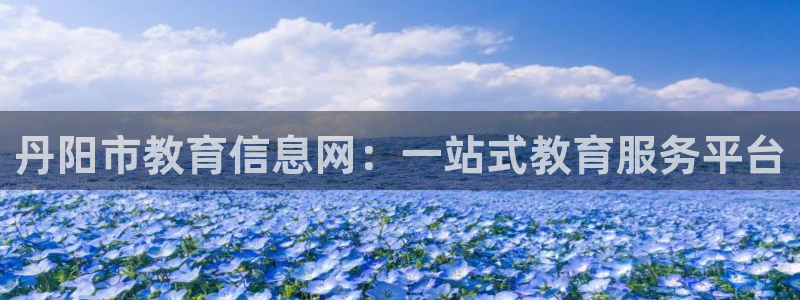 安信卓越12月
