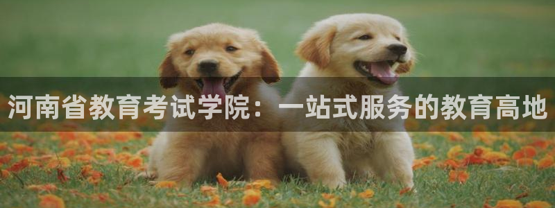 安信12平台的网址