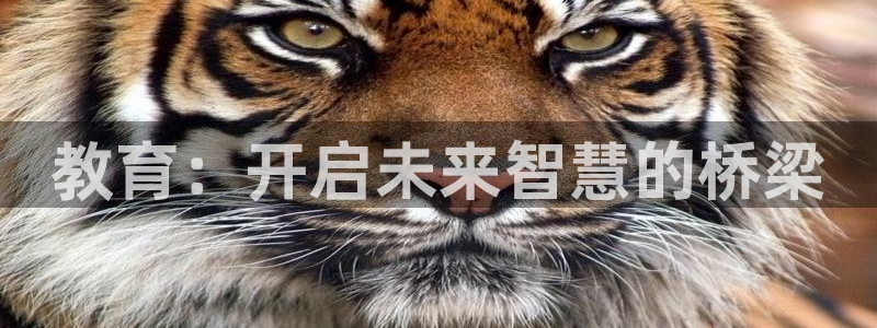 安信12娱乐主管