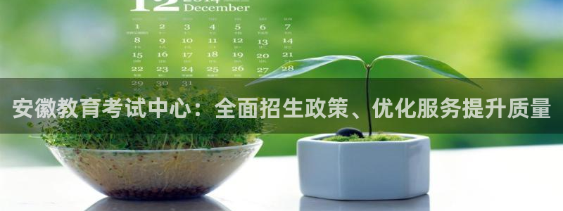 安信证券手机壳12