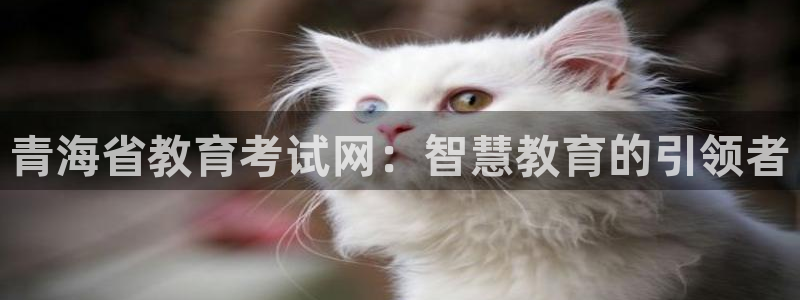 安信12是正规还是仿