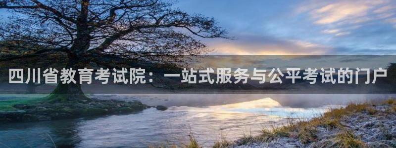 安信12是正规还是仿