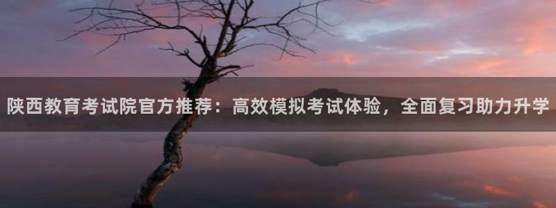 安信12平台介绍